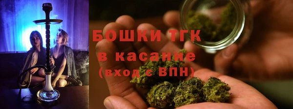 прущие крисы Арсеньев