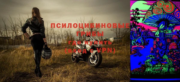 шишки Ступино