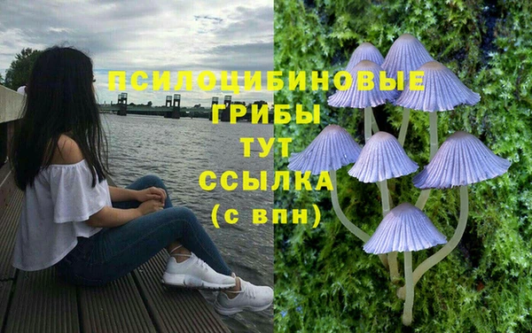 прущие крисы Арсеньев