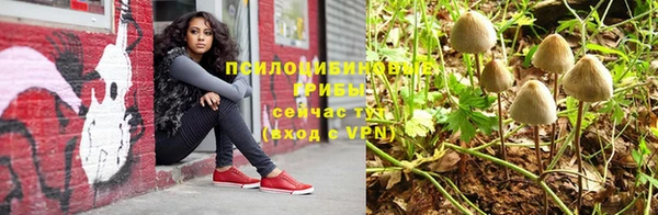 бошки Балахна