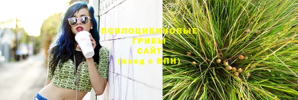 ГАЛЛЮЦИНОГЕННЫЕ ГРИБЫ Строитель