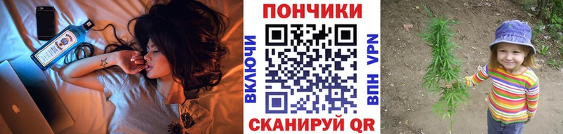 где можно купить наркотик  Кудрово  даркнет наркотические препараты  Марихуана OG Kush 